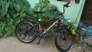 অ্যাপল ২৪ ইঞ্চি মাঝারি সাইজের গিয়ার সাইকেল