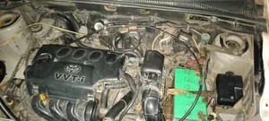 টয়োটা সাকসিড ২০১৩ পার্ল