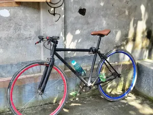 Duronto Cycle