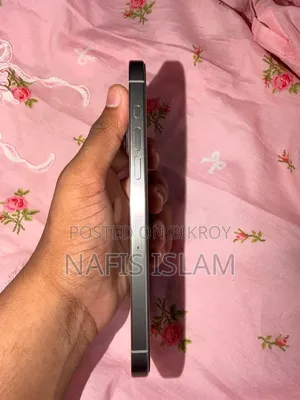 অ্যাপল আইফোন ১৫ প্রো ম্যাক্স ২৫৬ জিবি