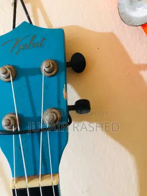 ইউকুলেলে ব্যবহৃত