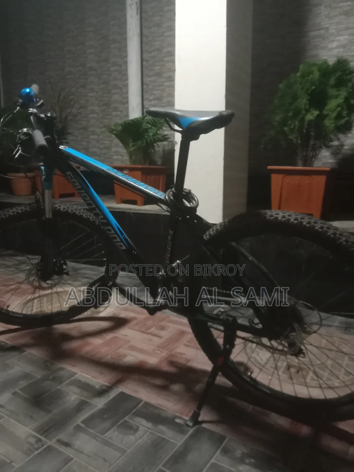 Bicycle for Sale