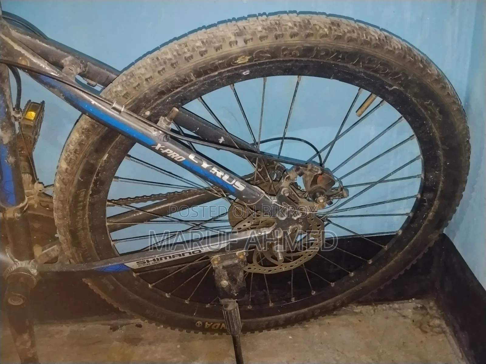 Bicycle 2023 Blue