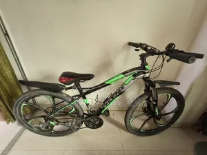 ফিনিক্স র‍্যাপ্টর