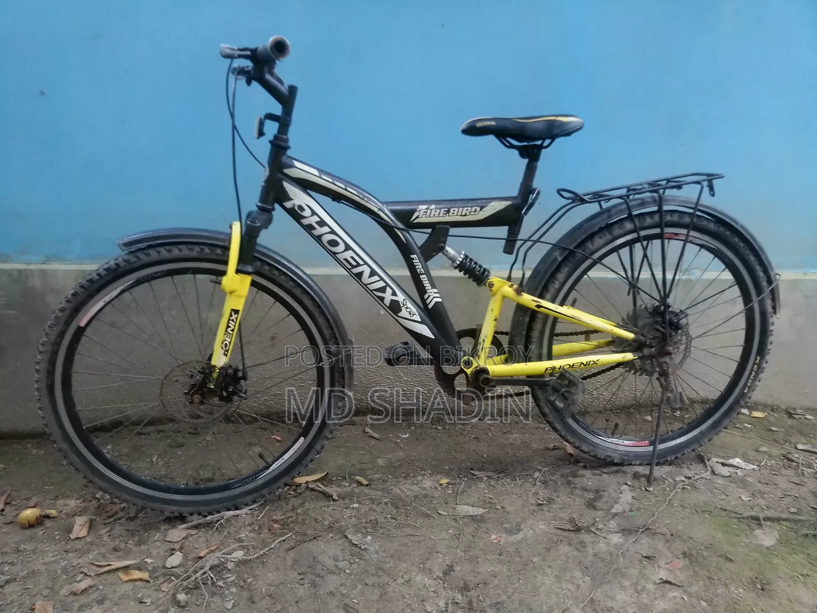 Phoenix 26"