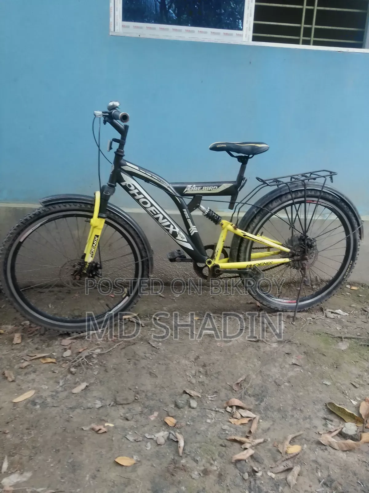 Phoenix 26"