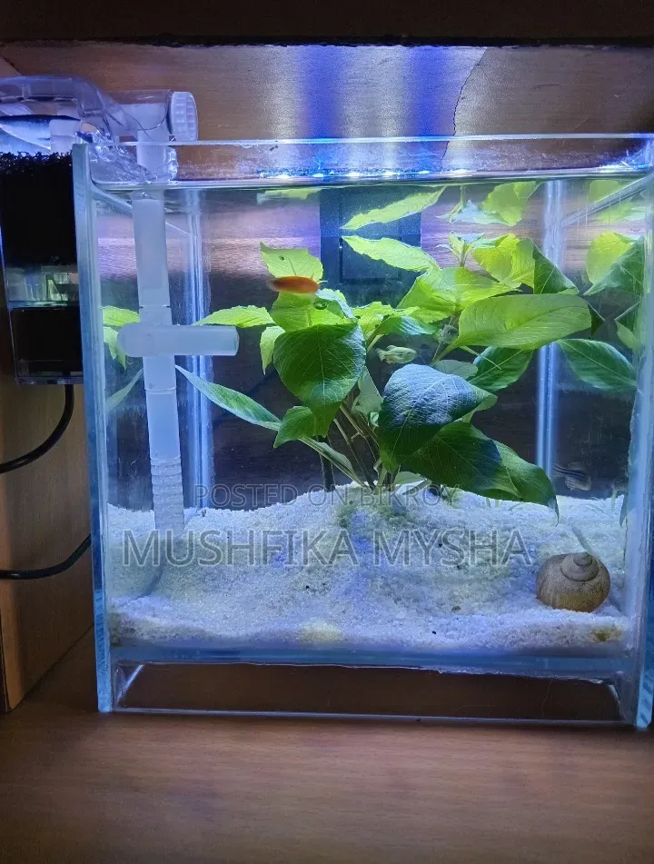 Aquarium ,Light, Hob Filter,sand