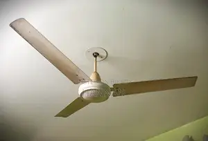 ন্যাশনাল ফ্যান (টঙ্গী) - ৫৬ ইঞ্চি
