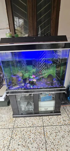 Aquarium With Cabinet