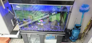 Aquarium With Cabinet