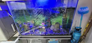 Aquarium With Cabinet
