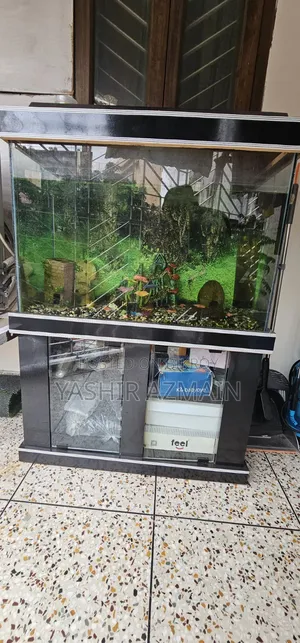 Aquarium With Cabinet
