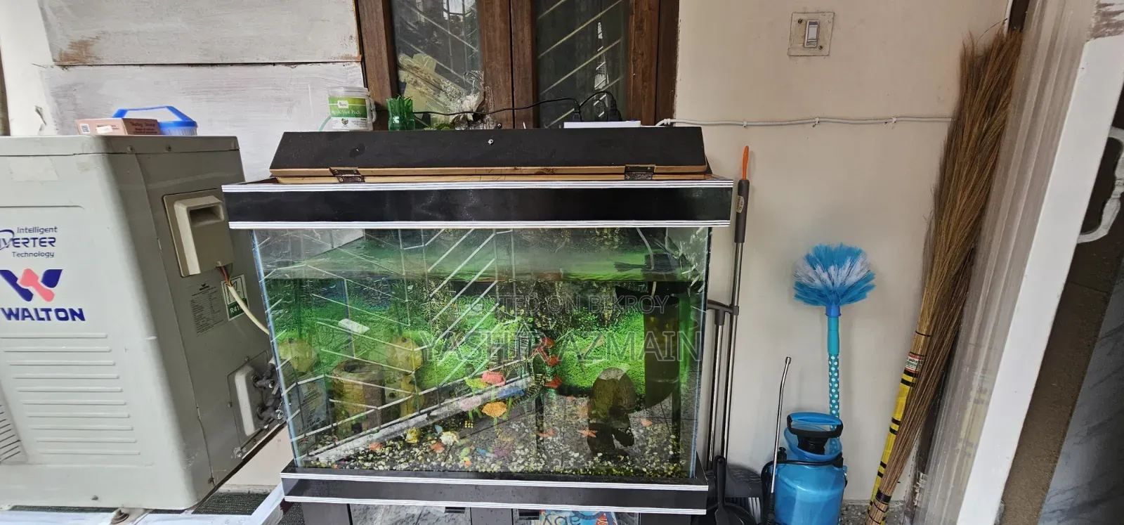 Aquarium With Cabinet