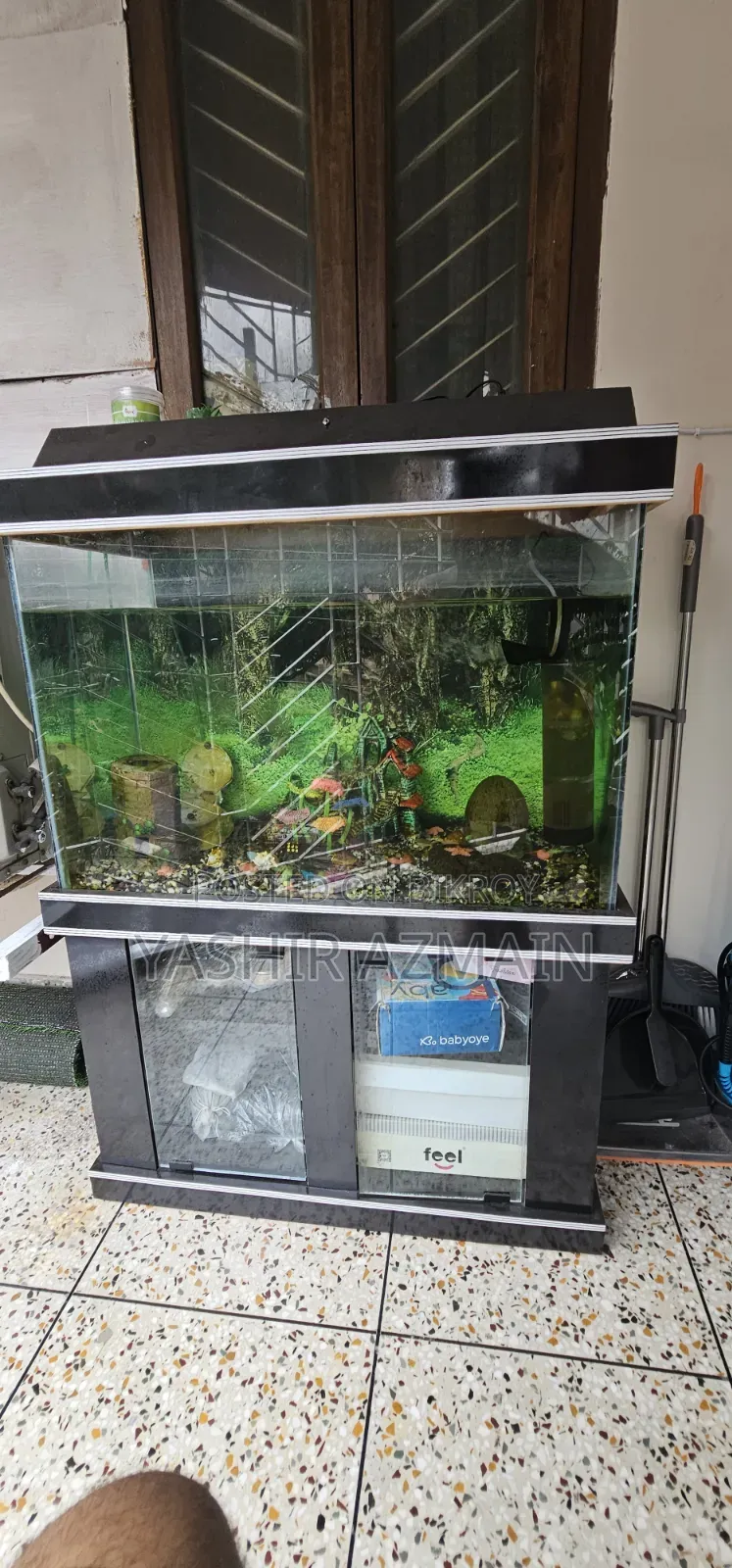 Aquarium With Cabinet