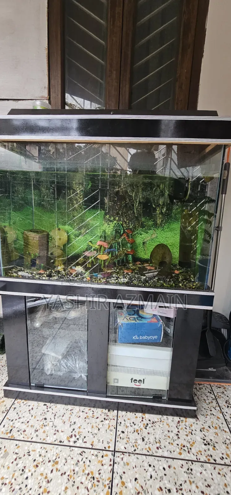 Aquarium With Cabinet