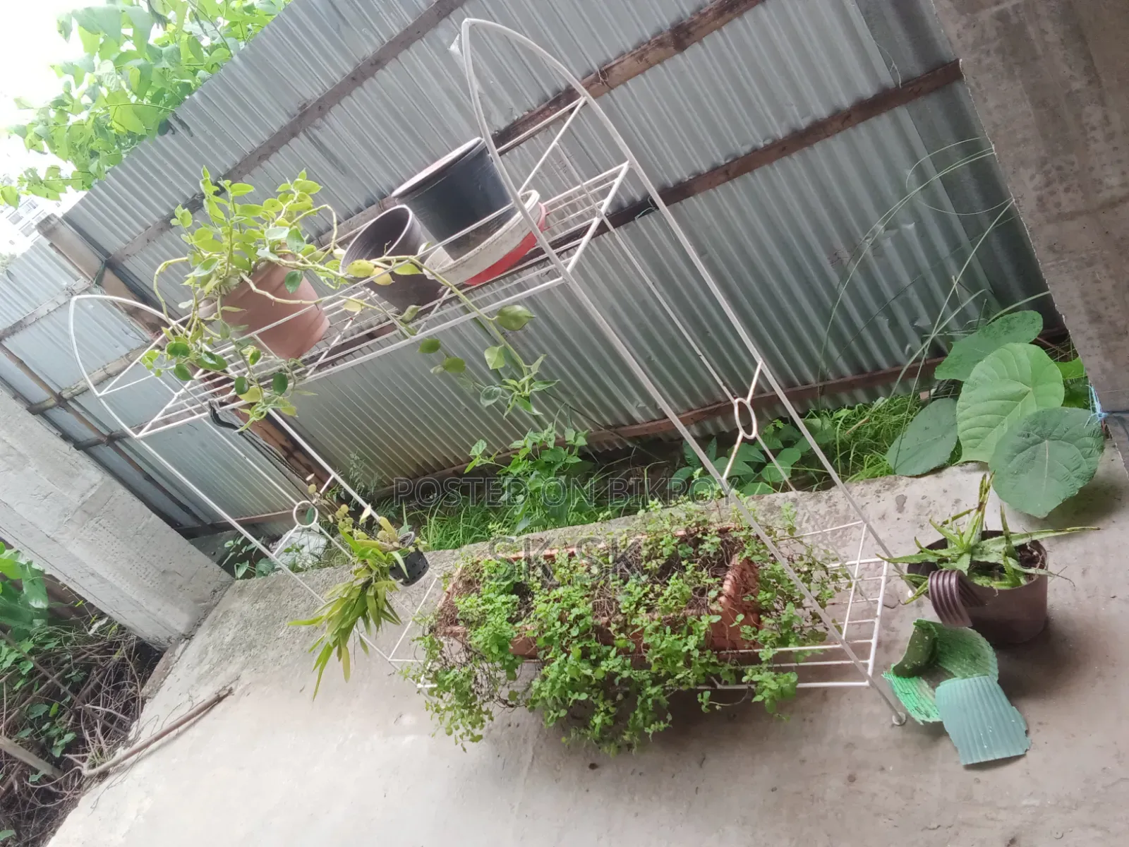 ১৩ পিস গাছের স্ট্যান্ড বিক্রি হবে,সাথে গাছ মাটি টপ ফ্রী অনেক গুলো