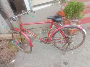 Duranta Bicycle