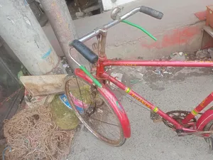 Duranta Bicycle