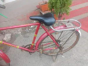 Duranta Bicycle