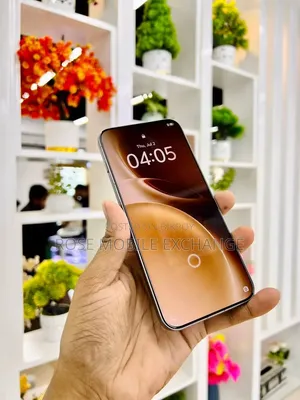 New Vivo X300 Pro 512 GB