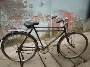 Bicycle