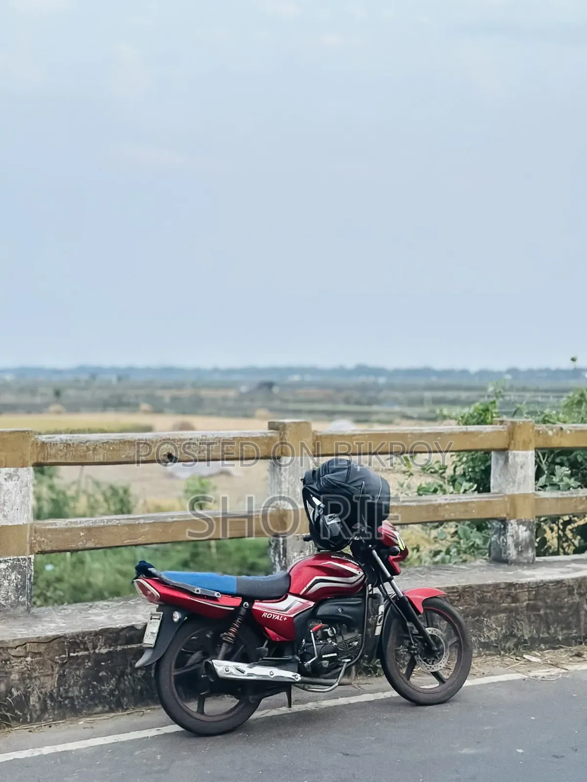 রানার রয়্যাল+ ভি২ ২০২৬ লাল