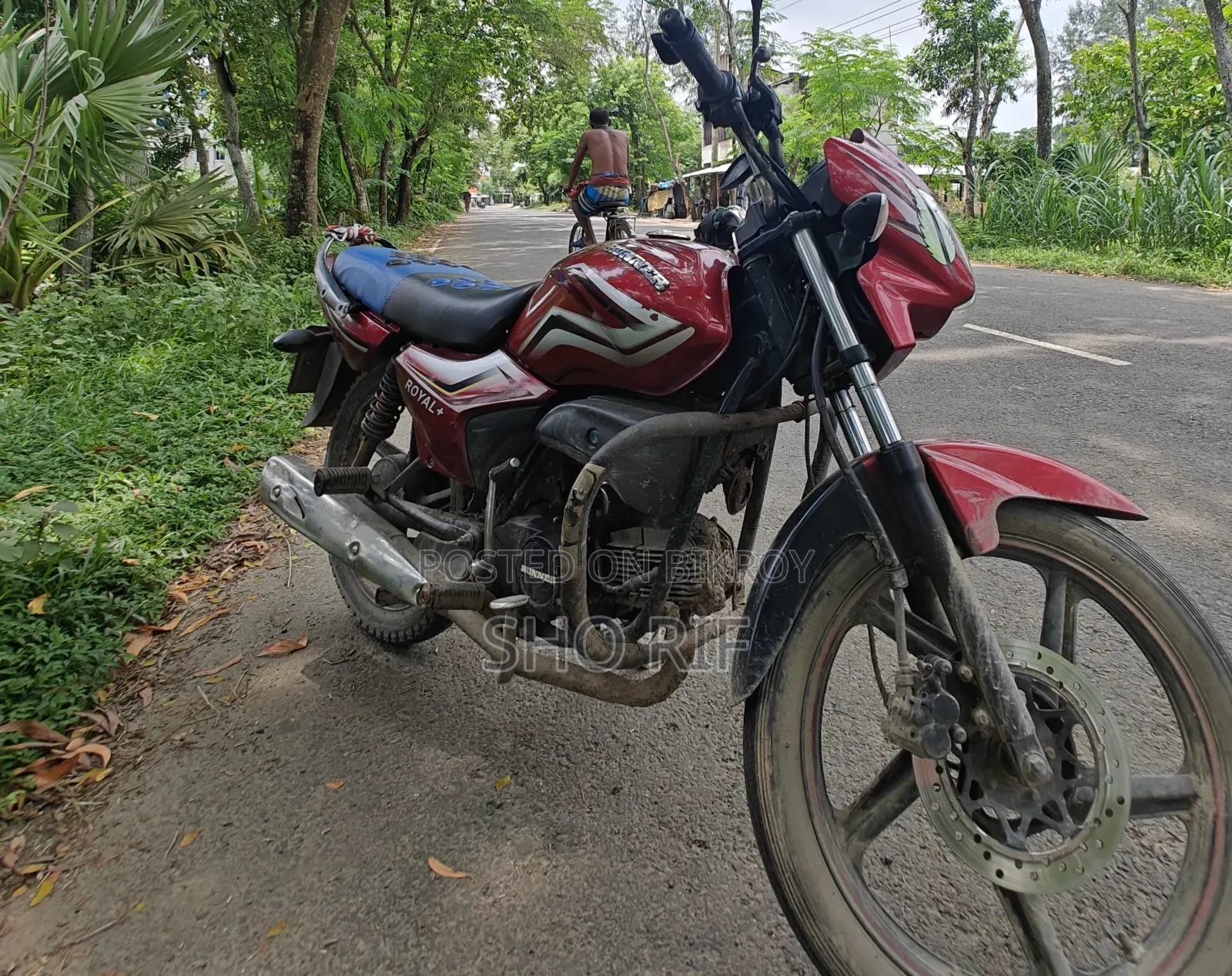 রানার রয়্যাল+ ভি২ ২০২৬ লাল