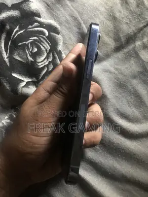 অ্যাপল আইফোন ১৩ প্রো ২৫৬ জিবি নীল