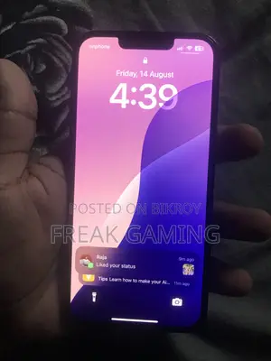 অ্যাপল আইফোন ১৩ প্রো ২৫৬ জিবি নীল