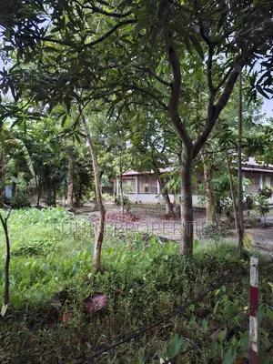 খাদিমনগর, সিলেটে ১২ শতক জমি বিক্রি