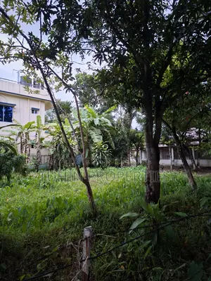 খাদিমনগর, সিলেটে ১২ শতক জমি বিক্রি