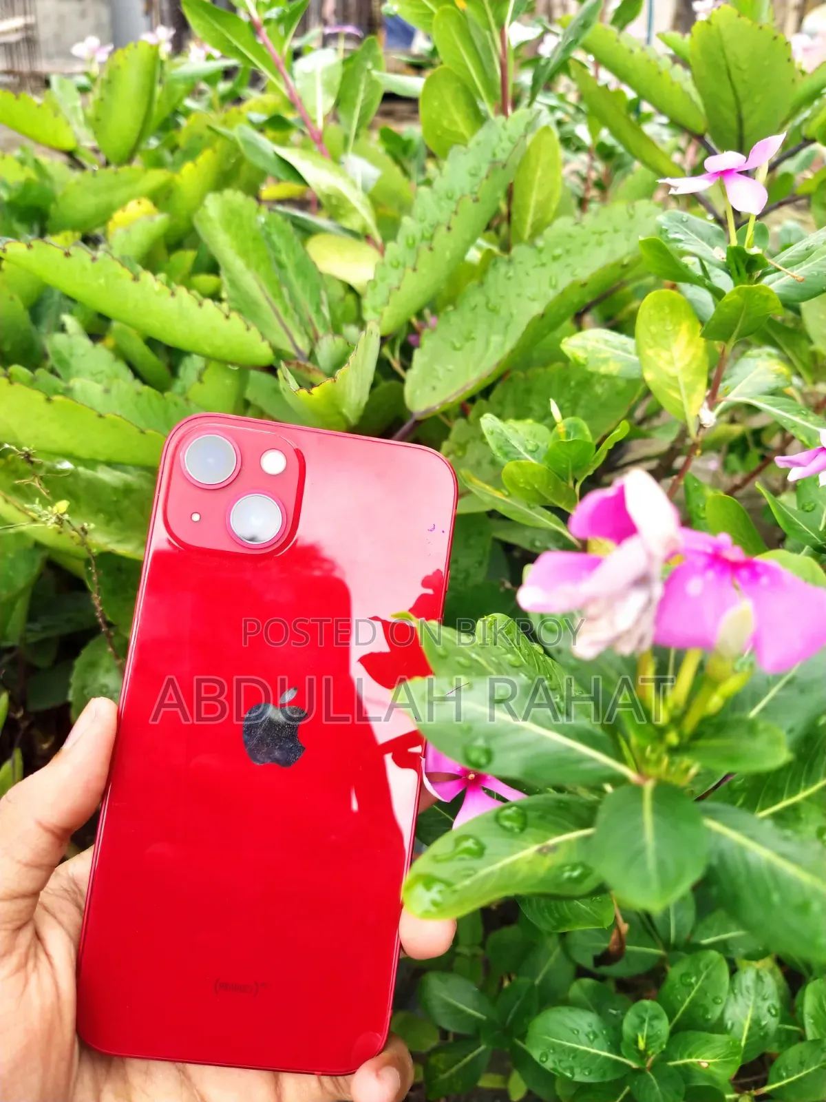 Apple iPhone 13 128 GB Red