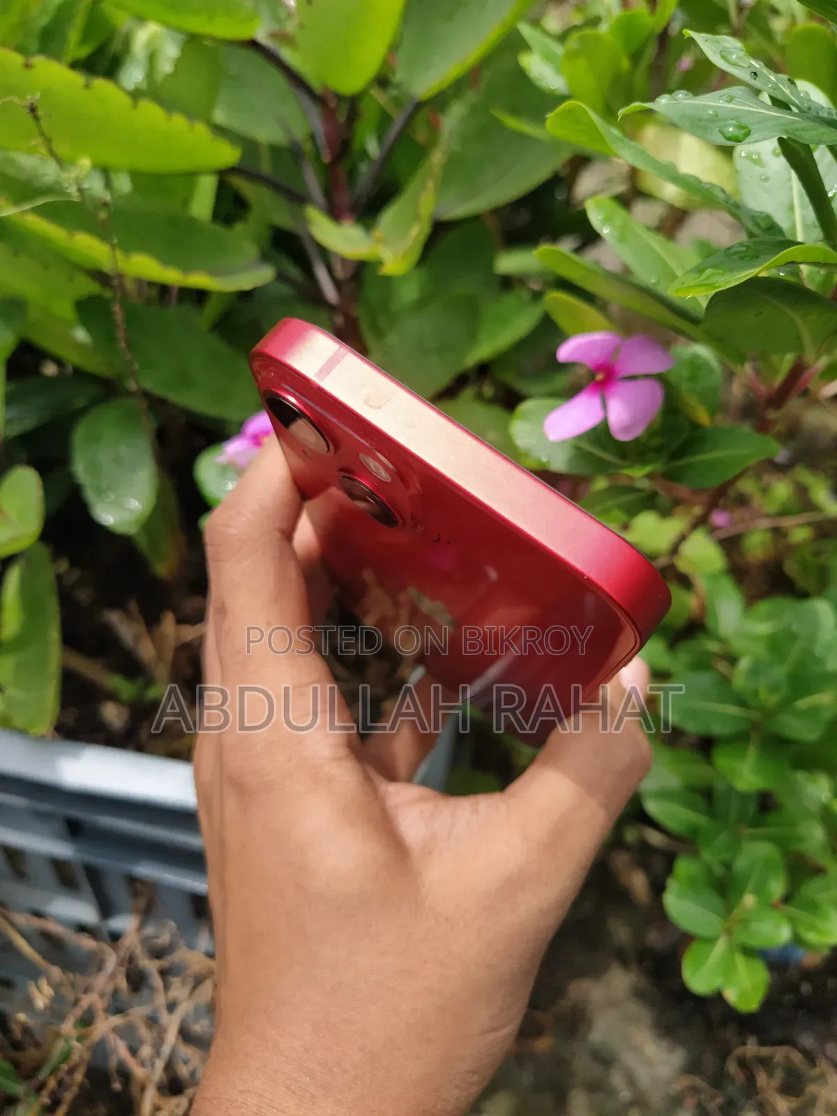 Apple iPhone 13 128 GB Red