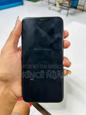 অ্যাপল আইফোন এক্সএস ম্যাক্স ২৫৬ জিবি গোল্ড
