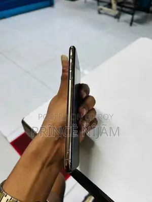 অ্যাপল আইফোন এক্সএস ম্যাক্স ২৫৬ জিবি গোল্ড