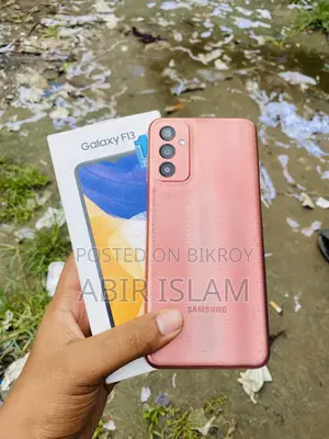 Samsung Galaxy F13 64 GB