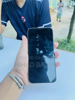 অ্যাপল আইফোন ১২ প্রো ম্যাক্স ২৫৬ জিবি রোজ গোল্ড