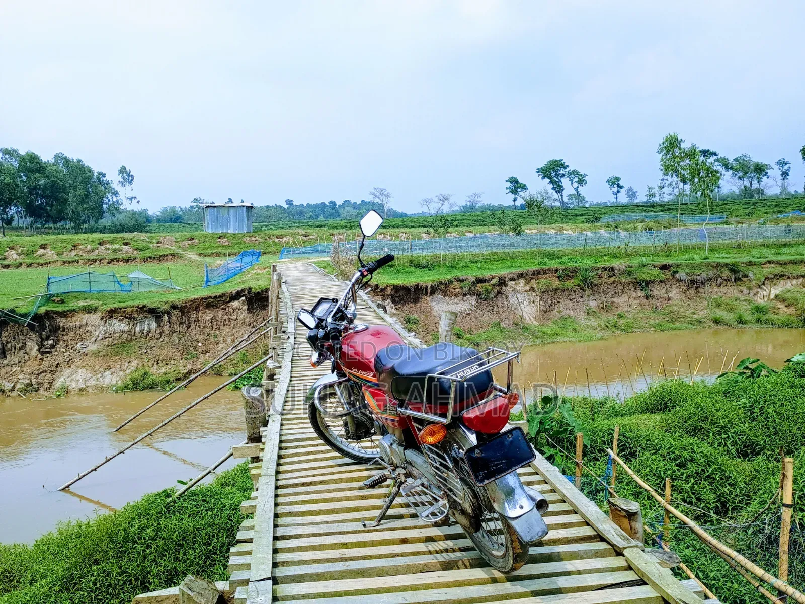 হোন্ডা ২০১২ রেড