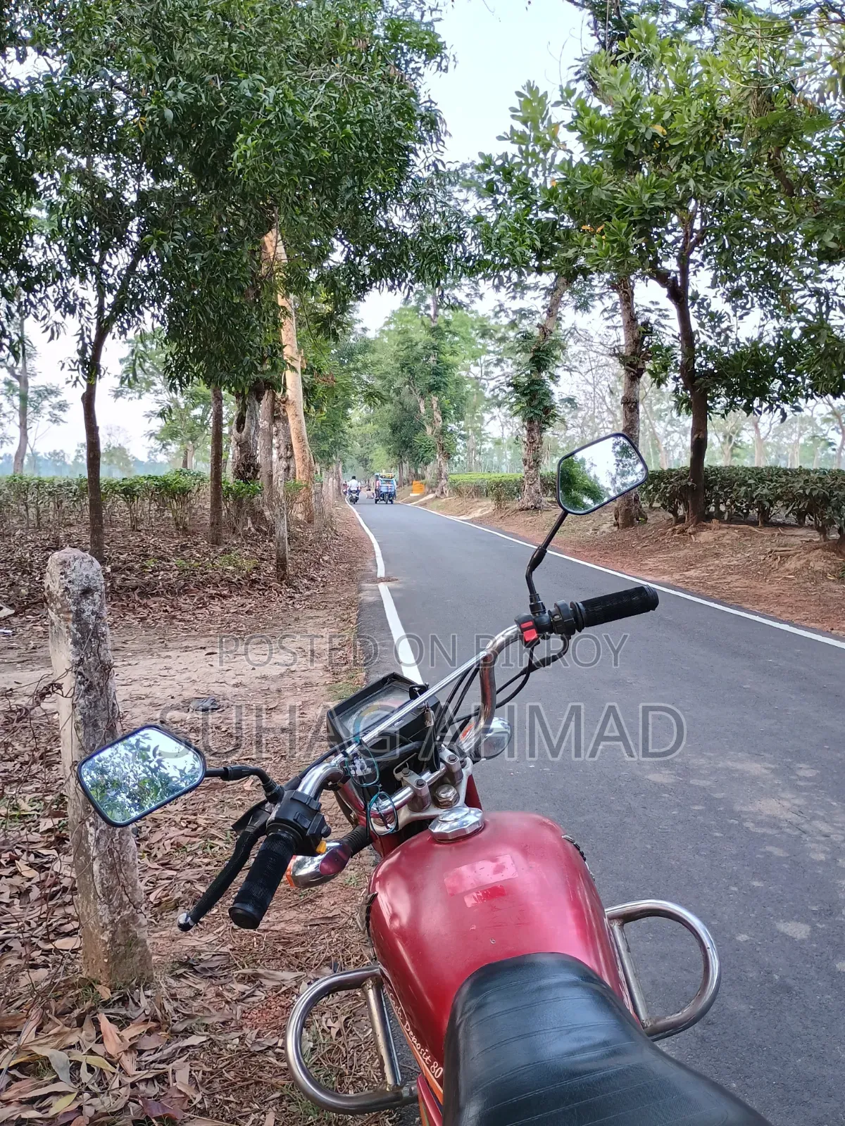 হোন্ডা ২০১২ রেড