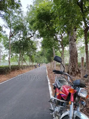 হোন্ডা ২০১২ রেড