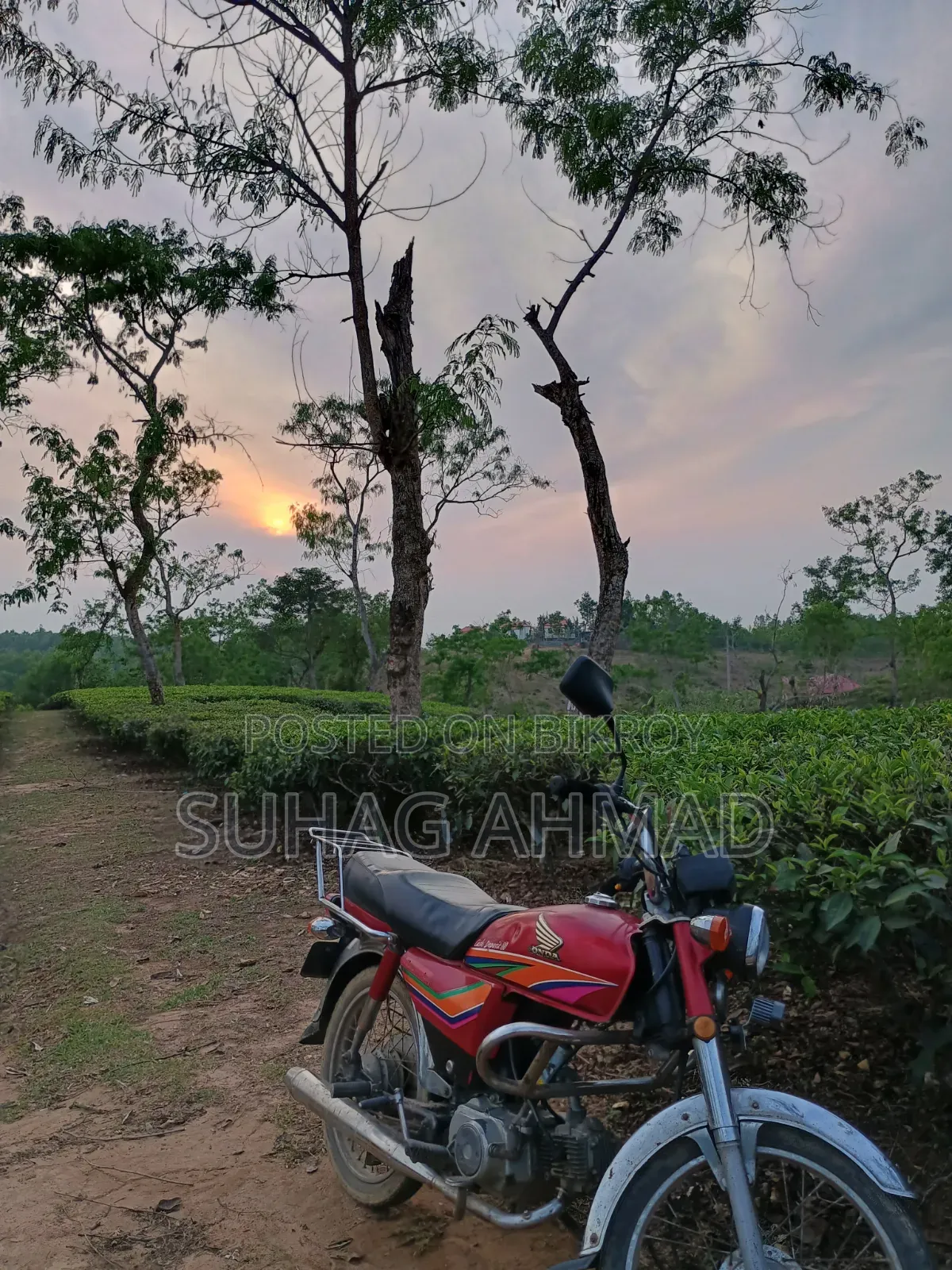 হোন্ডা ২০১২ রেড