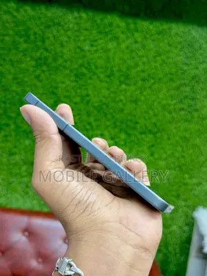 Vivo X300 256 GB Black