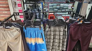 ক্লথ স্ট্যান্ড/হ্যাংগার