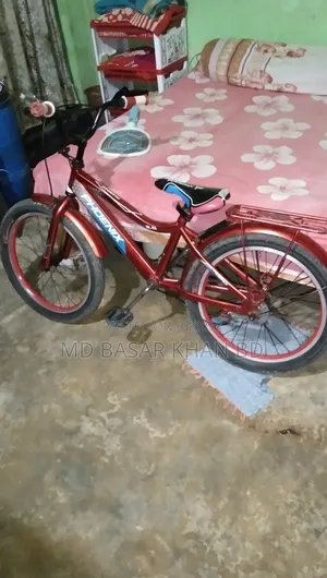 Phonix Cycle