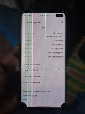 স্যামসাং গ্যালাক্সি এস১০ প্লাস ১২৮ জিবি