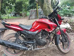 Hero Hunk 2010 Red