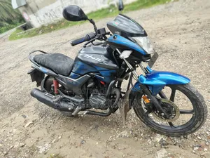 হিরো হাঙ্ক ২০১৯ কালো