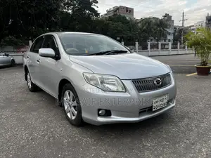 Toyota Axio 2010 Silver