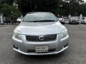 Toyota Axio 2010 Silver