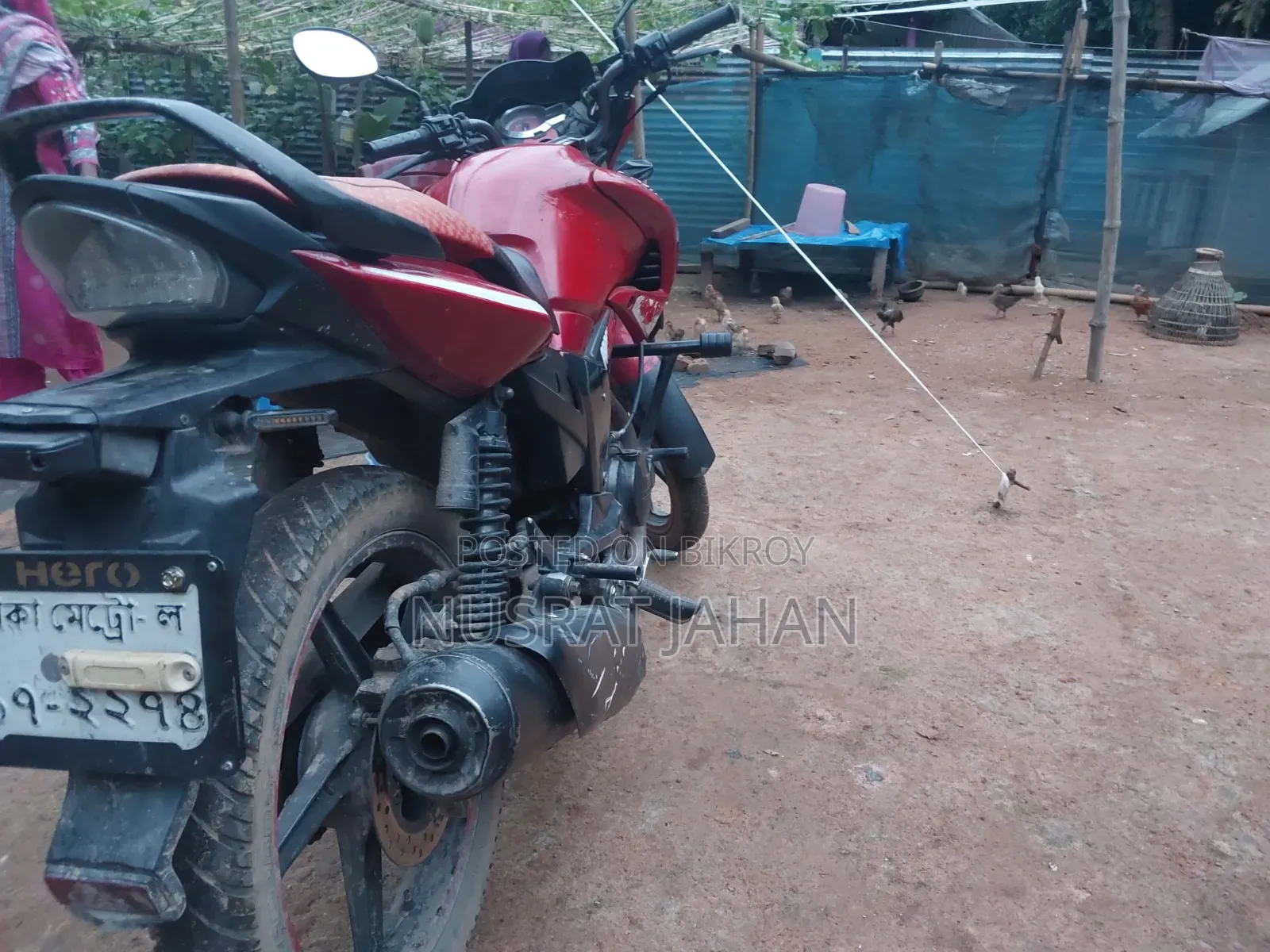 হিরো হাঙ্ক ২০১০ রেড